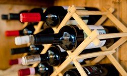 Etiam commodo convallis