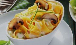 Aliquam erat volutpat